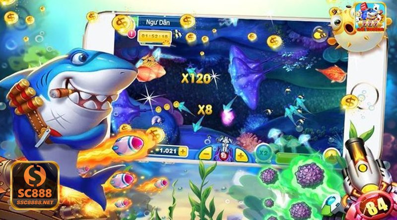 Bắn Cá Hải Tặc - Bắn Cá Hải Tặc tại SC888 có gì hấp dẫn? Bắn Cá Hải Tặc - Bắn Cá Hải Tặc tại SC888 có gì hấp dẫn?