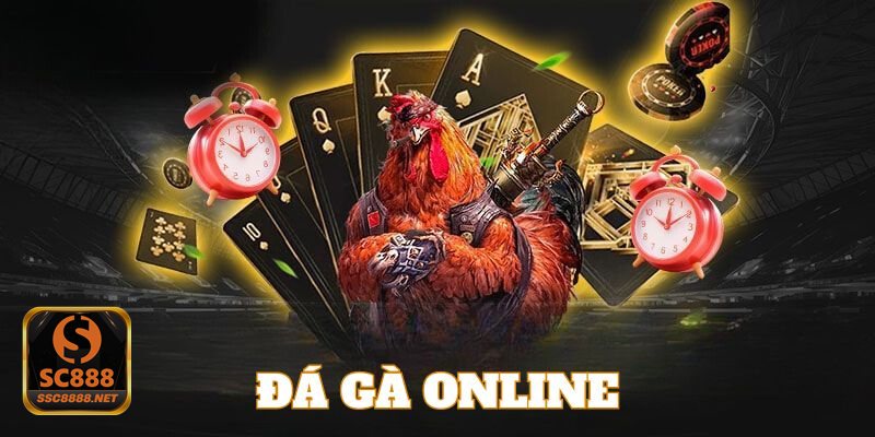 Đá Gà Online - Kèo cược đa dạng, phù hợp nhiều kiểu chơi khác nhau Đá Gà Online - Kèo cược đa dạng, phù hợp nhiều kiểu chơi khác nhau
