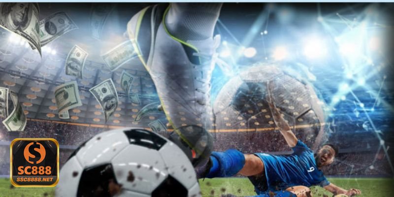 Thể thao SC888 - Hệ sinh thái giải đấu, tỷ lệ và xem trực tiếp được liên kết mạch lạc