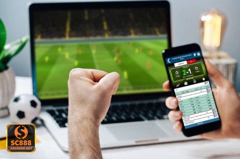 Thể thao SBO - Giao diện thân thiện và hệ thống hỗ trợ phù hợp người chơi châu Á Thể thao SBO - Giao diện thân thiện và hệ thống hỗ trợ phù hợp người chơi châu Á